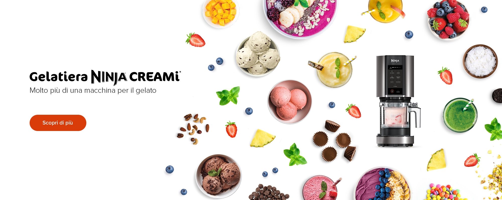 Gelatiera Ninja Creami